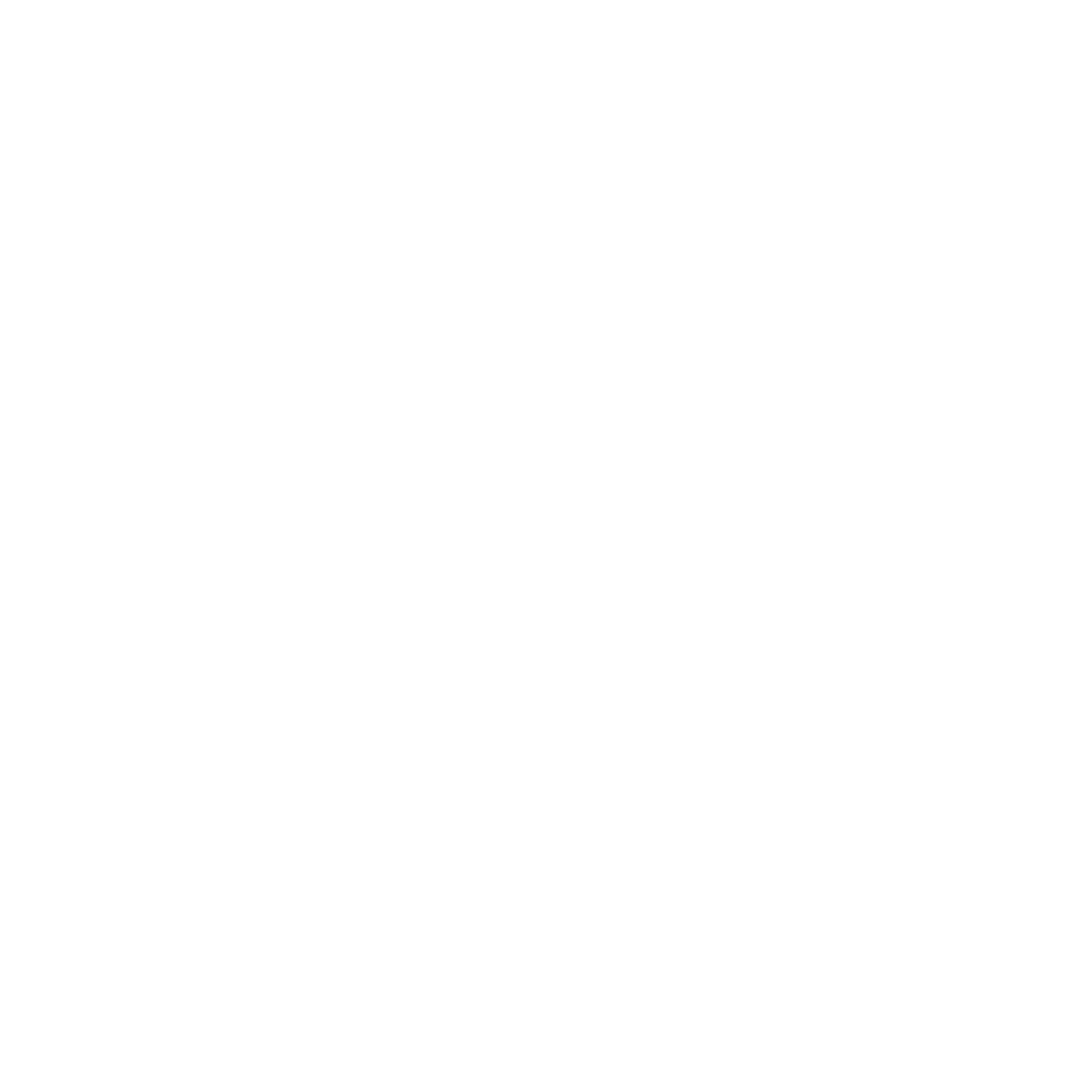 Raeys Brushes sponsor logo